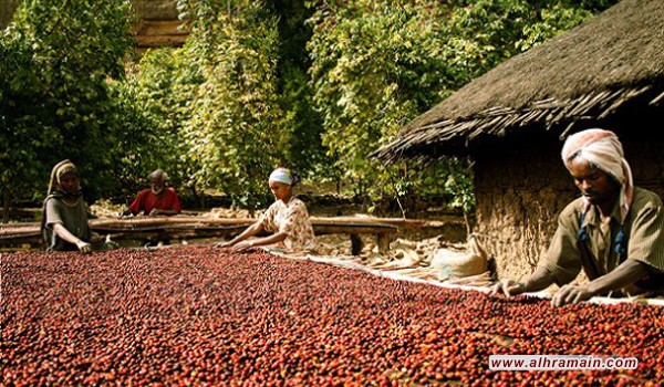 الرياض تستثمر في إثيوبيا لتعزيز نفوذها