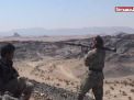 الحديدة.. معركة الحوثيين الكربلائية