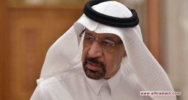 برغم مناشدة أمير مكة بالاستثمار الداخلي.. الفالح: سنستثمر 10 مليارات دولار في جنوب إفريقيا