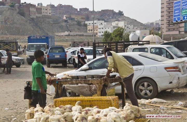 دعوات سعودية عنصرية لترحيل "البرماوية" وكاتب يدعو لرميهم بالبحر