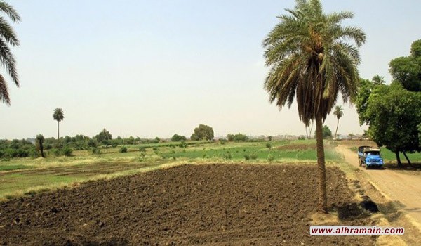 السودان تقدم أراضٍ مجانية للسعودية