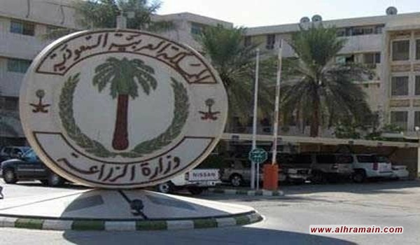 السعودية تعلن عن اصابة 8 أشخاص بمرض انفلونزا الطيور