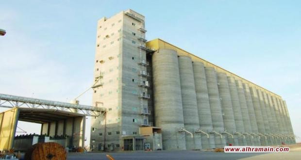 السعودية تشتري قمحها مع استمرار تعثر الإنتاج المحلي