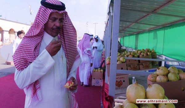 الباحة: موظف في بلدية القرى يقتل رئيسها.. ثم ينتحر