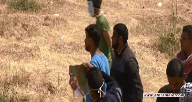 فلسطين تحرق صور سلمان ونجله