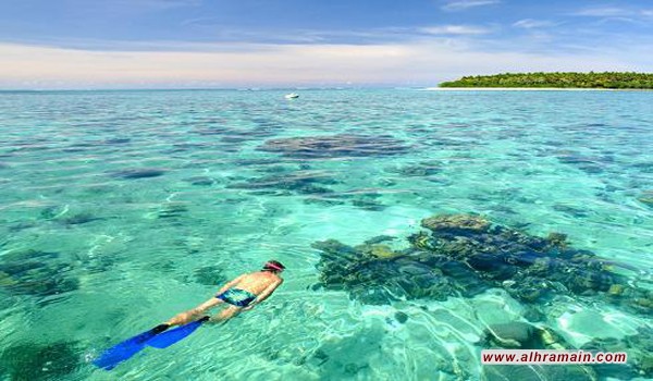 &ldquo;التقشف للشعب والبذخ للأمراء&rdquo;.. السعودية تشتري &ldquo;فافو&rdquo; احدى الجزر المرجانية النادرة بالعالم