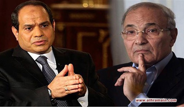 شفيق يخطط للانقلاب على السيسي بدعم اماراتي وترتيبات خليجية بعد نبذ الوهابية في مؤتمر الشيشان