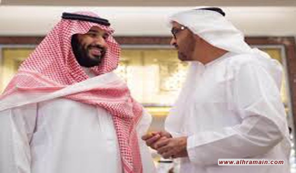  نعتت &ldquo;ابن سلمان&rdquo; بـ&rdquo;الدب&rdquo;.. أكاديمية إماراتية تهاجم ابن زايد: الفاسد انفق أموال الدولة على الانقلابات الفاشلة