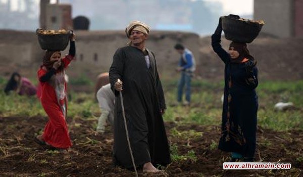 عودة مصر إلى أفريقيا: طريق معبّد بألغام سعوديّة!