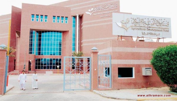 "التنمية الزراعية السعودي" يعتمد قروضا بأكثر من 115 مليون دولار